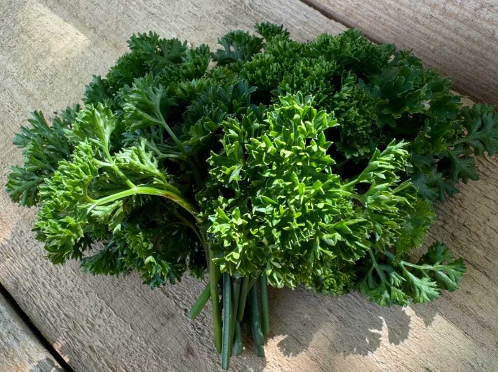 Parsley
