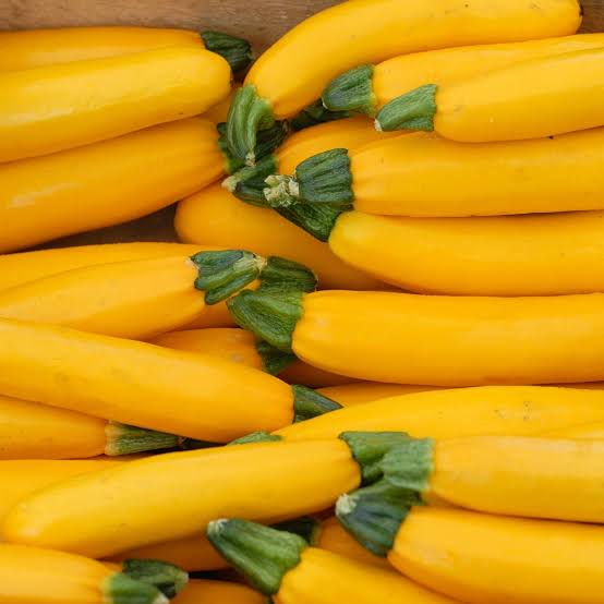 Yellow Zucchini